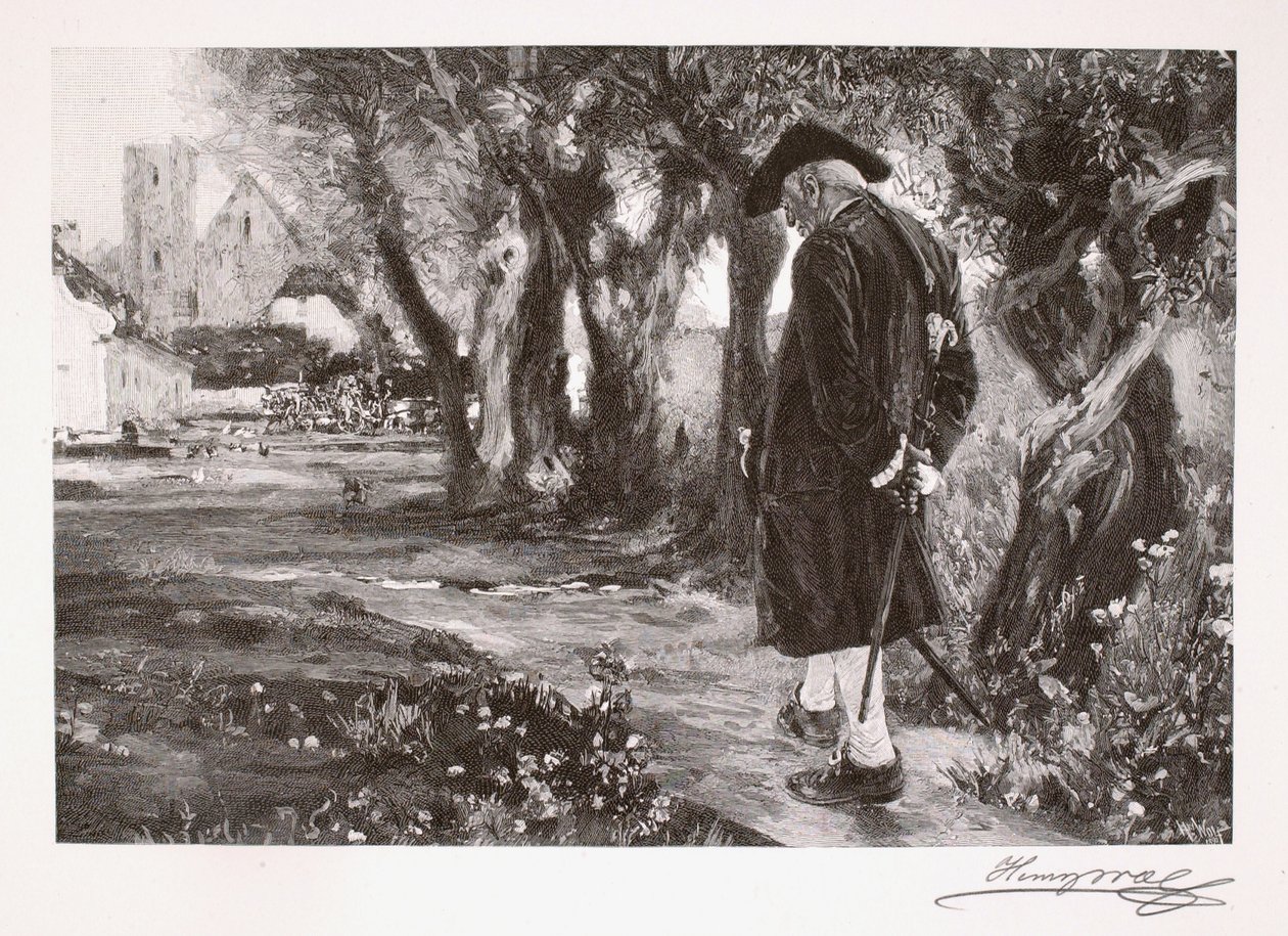 Der Flaneur von Henry Wolf