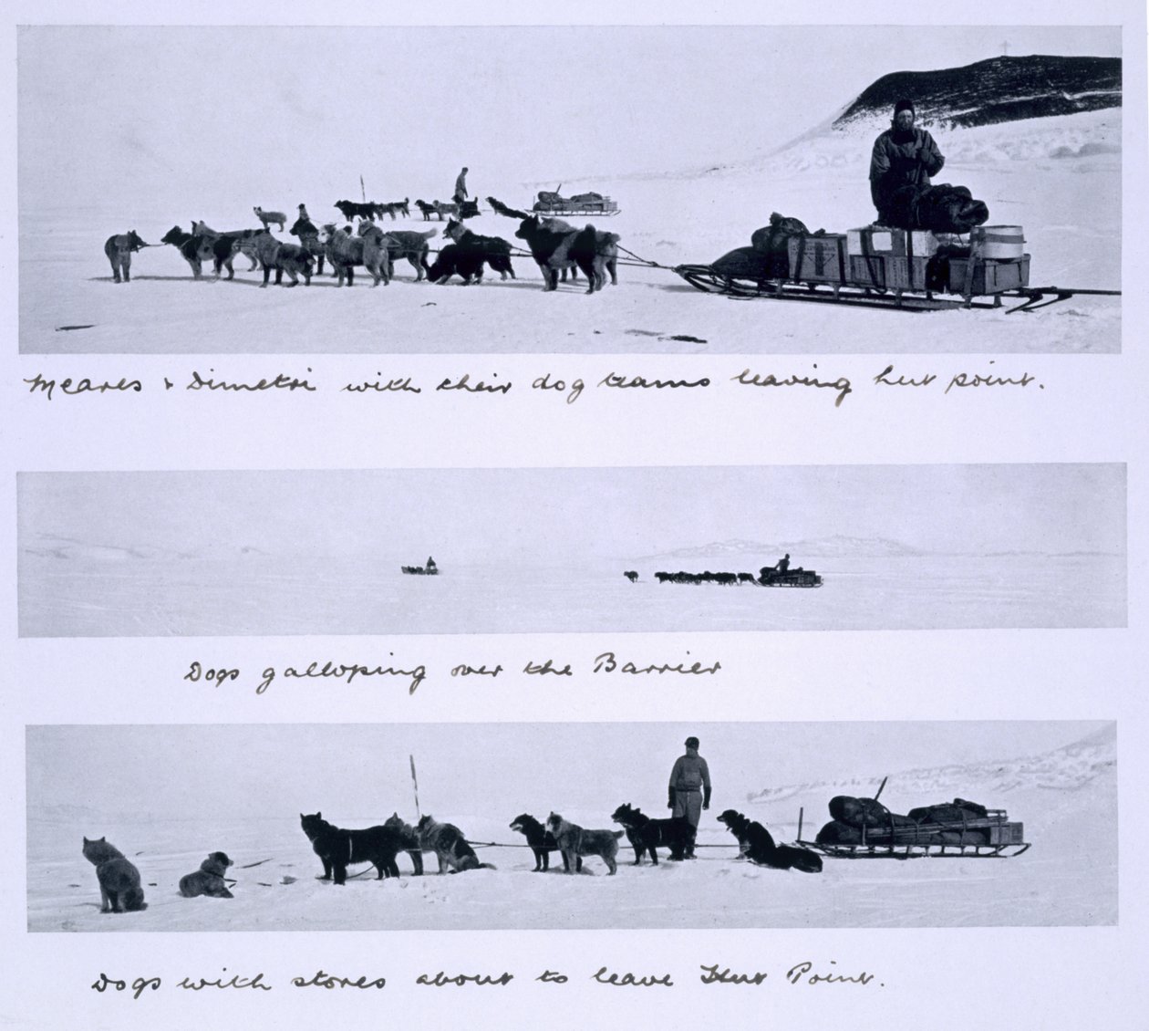 Drei Ansichten der Hundeteams, geführt von Meares und Dimetri, auf der 