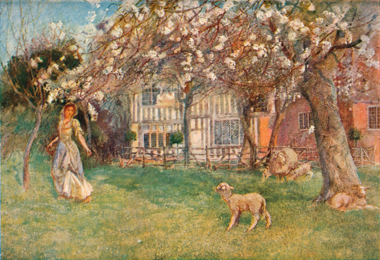 Lämmer, ca. 1904 von Herbert Alexander Collins