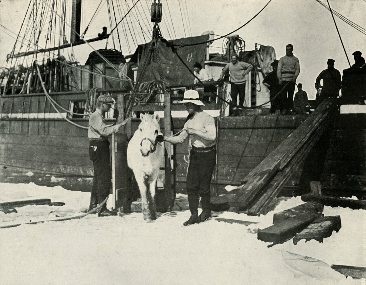 Entladen der Ponys, ca. 1910-1913, 1913 von Herbert Ponting