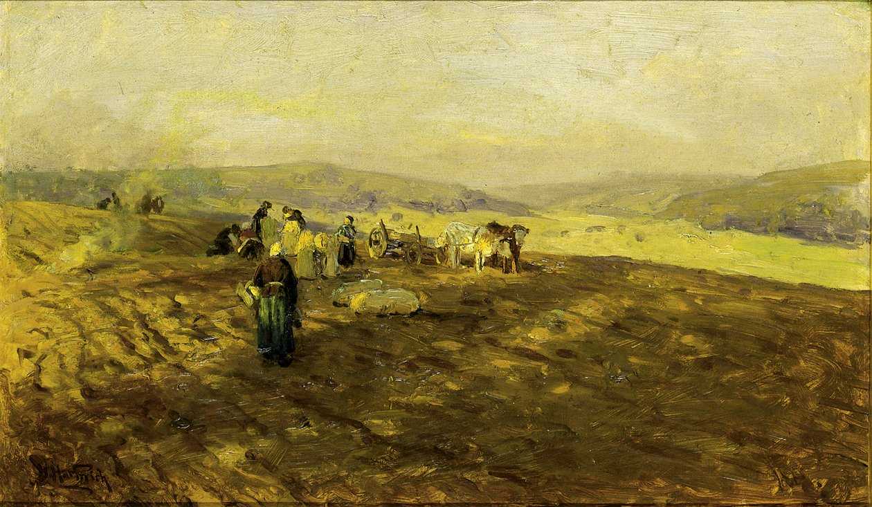 Kartoffelsammler von Herman Hartwich