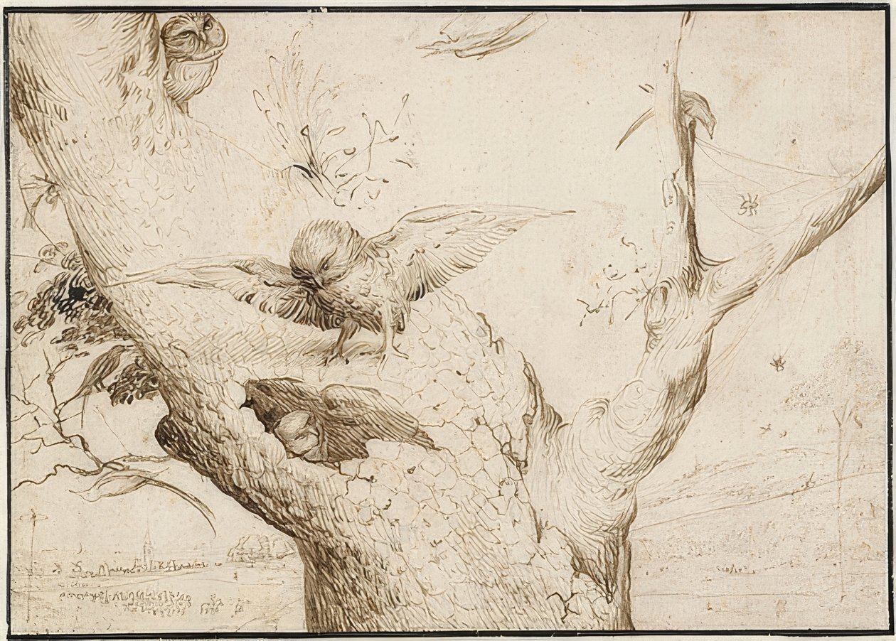 Eulennest, um 1505-10 von Hieronymus Bosch