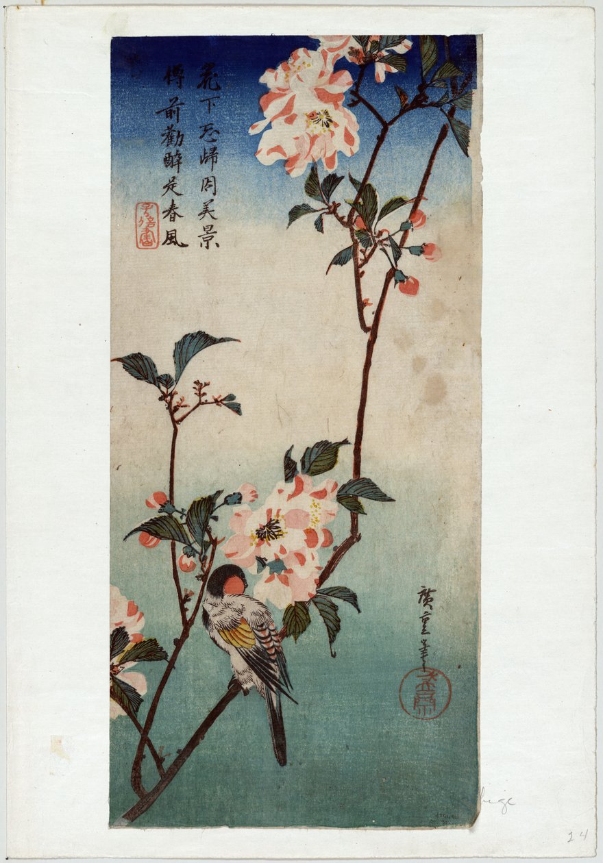 Kaido ni Shokin (Kleiner Vogel auf einem Zweig von Kaidozakura) von Utagawa Hiroshige