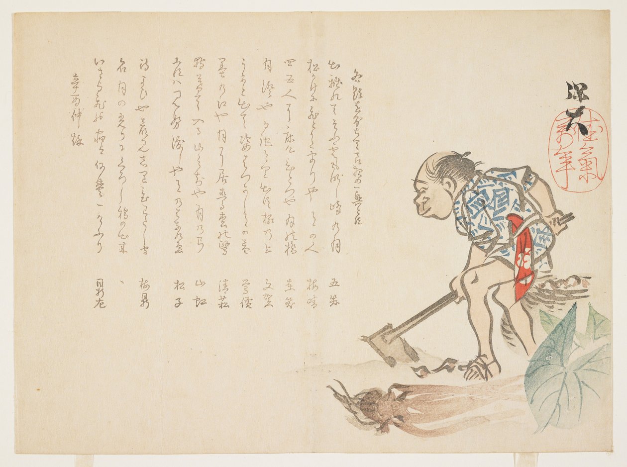 Bauer gräbt Wurzeln von Hodai