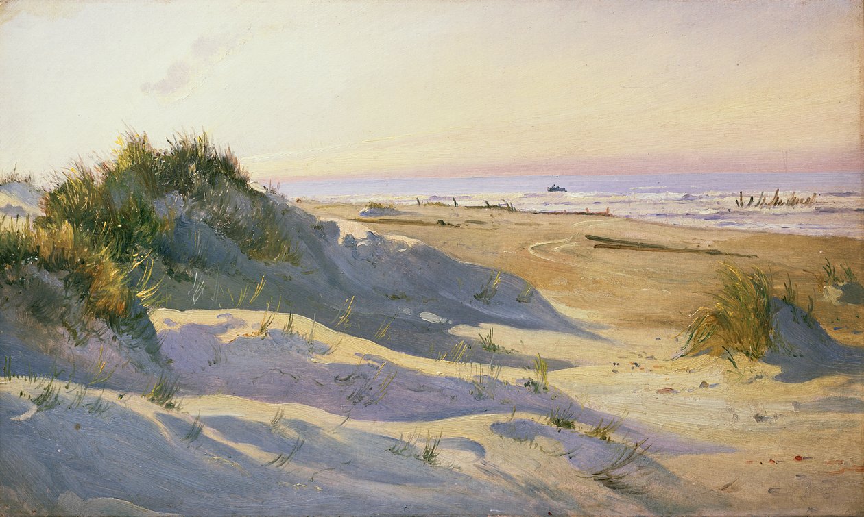 Die Dünen, Sonderstrand, Skagen von Holgar Drachman