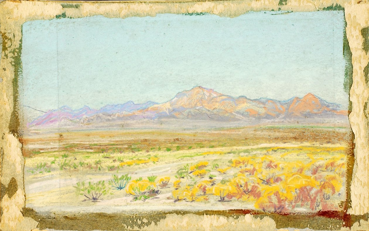 Wüstenlandschaft (#69) von Howard Russell Butler