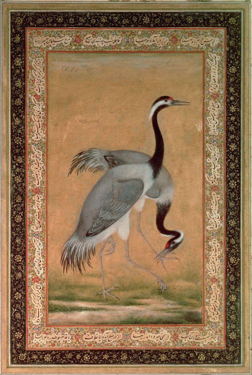 Kraniche von Mansur, Jahangir-Periode, Mughal von Indian School