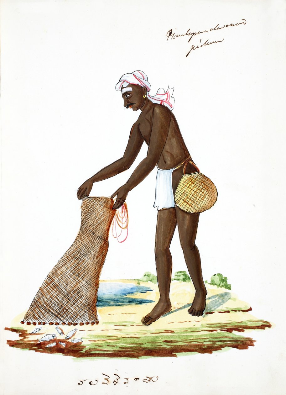 Fischer von Indian School