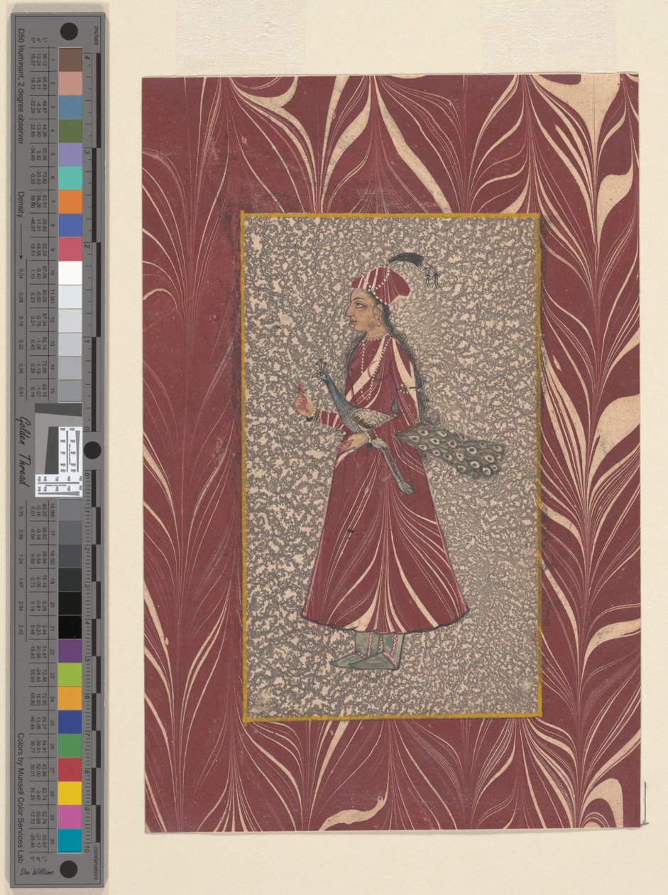 Dame, die einen Pfau trägt, Bijapur, ca. 1660 von Indian School