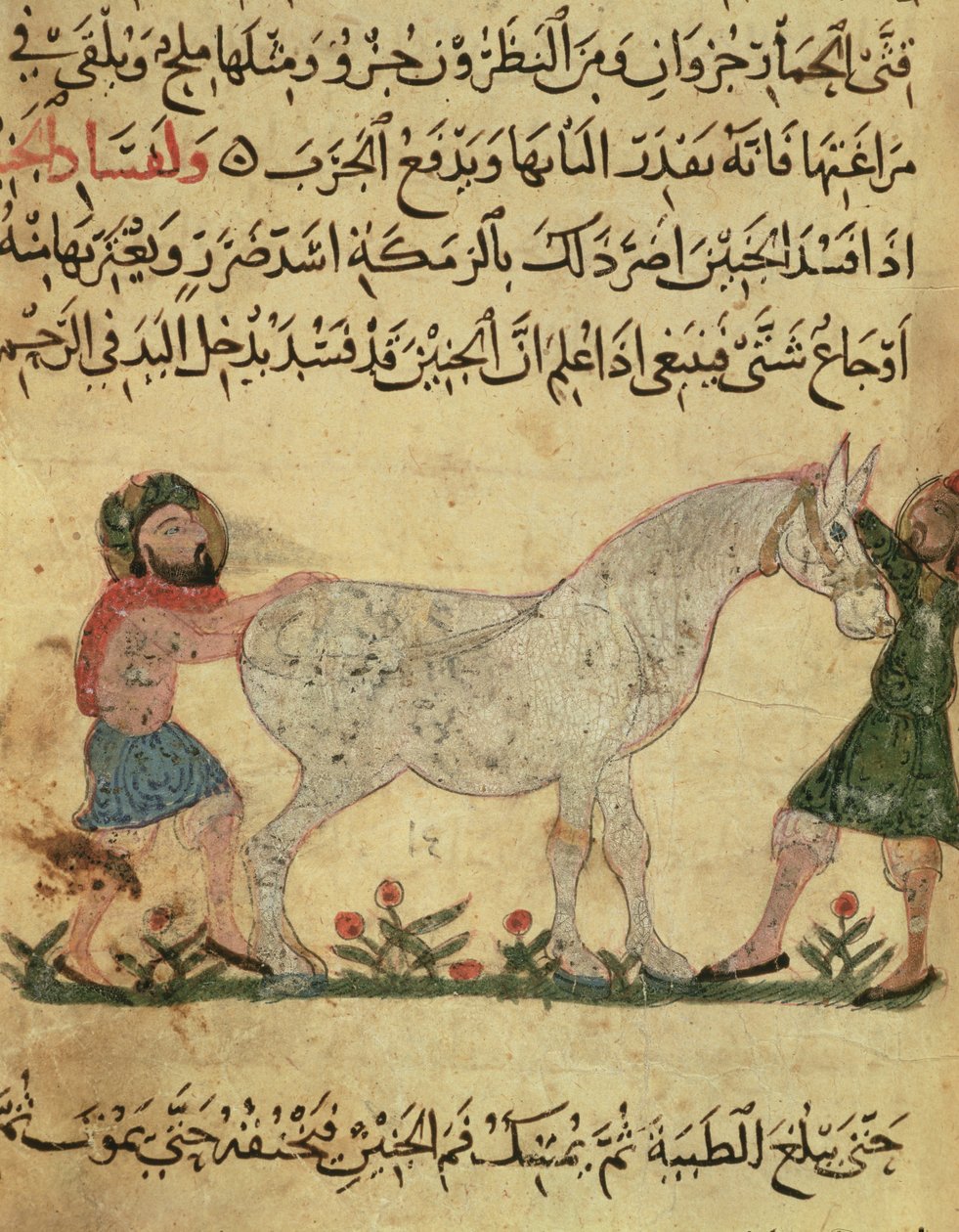 Ein Tierarzt hilft einer Stute bei der Geburt, Illustration aus dem 
