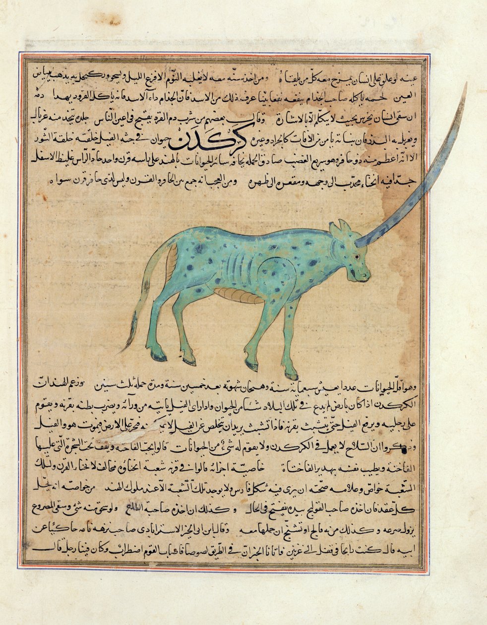 Ms E-7 fol.191b Nashorn, Illustration aus 