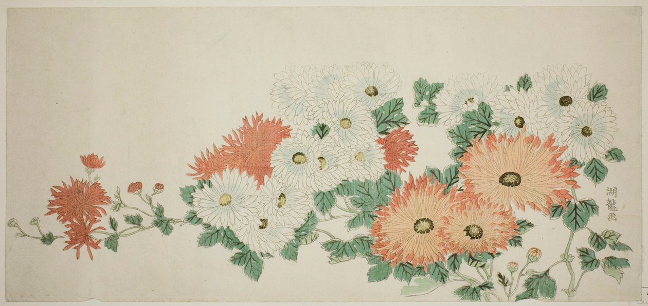 Chrysanthemen von Isoda Koryusai