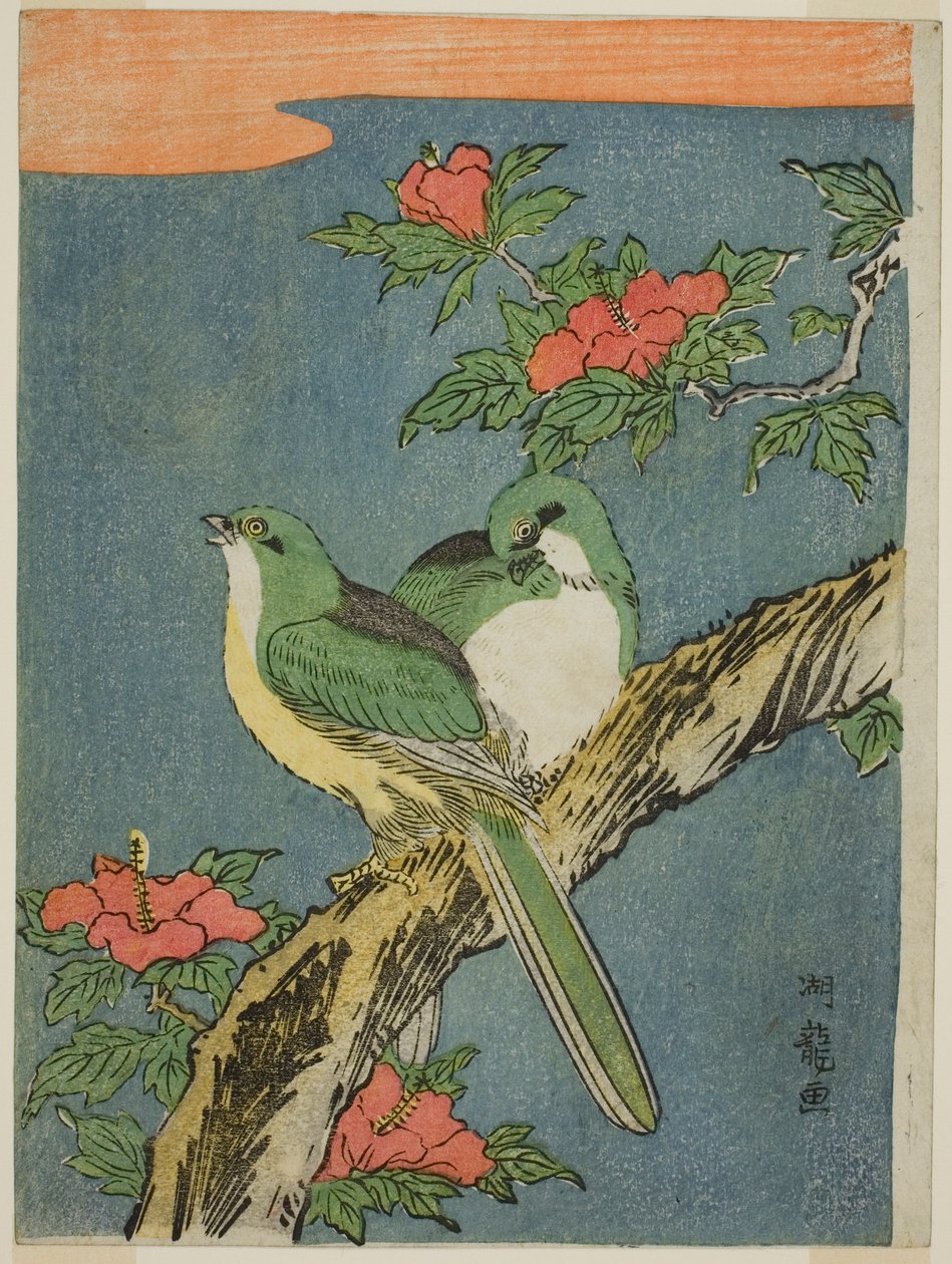 Zwei Vögel auf Hibiskusbaum von Isoda Koryusai