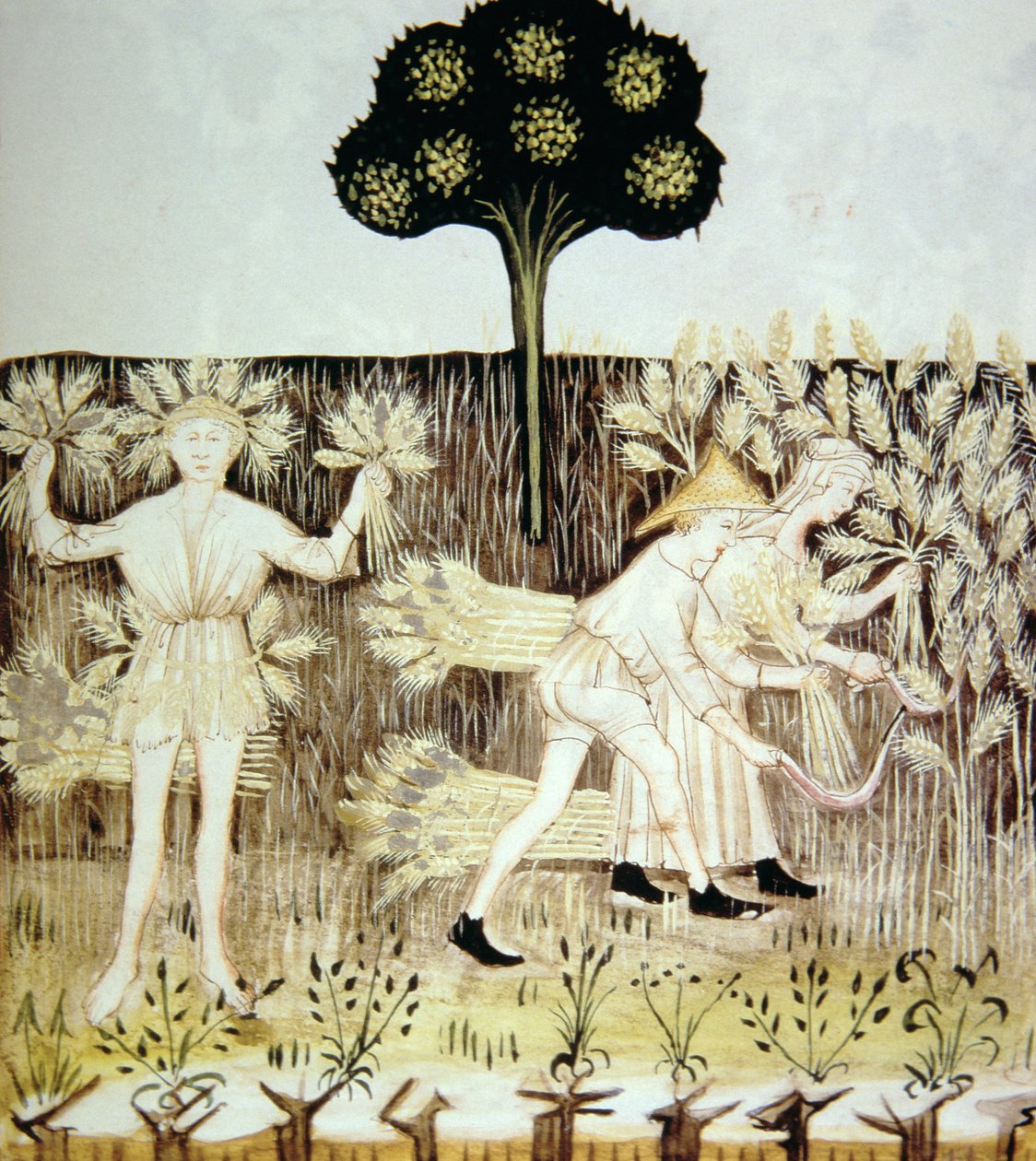 Sommer: Weizenernte, Illustration aus Tacuinum Sanitatis Codex Vindobonensis von Italian School