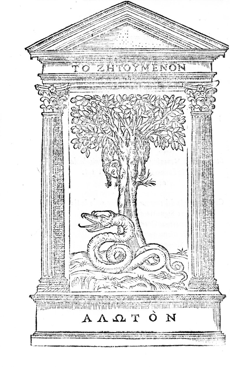 Illustration aus 