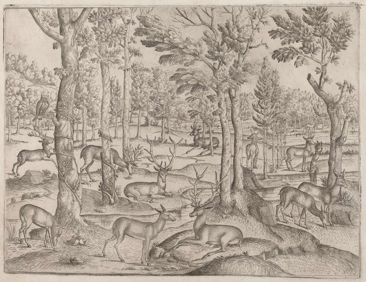 Hirsche im Wald von Italian 16th Century