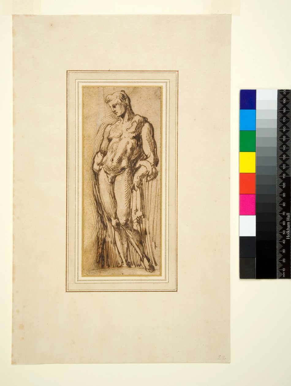 Studie einer antiken Statue von Italian School