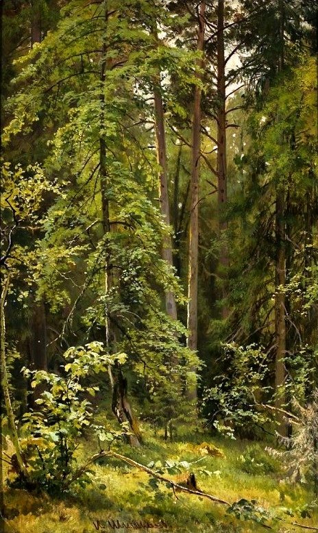 Ein Wald von Ivan Ivanovich Shishkin