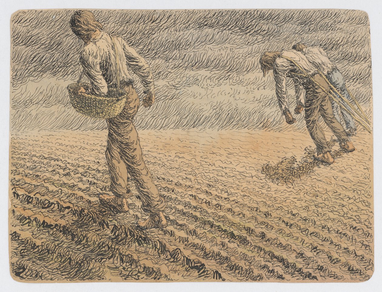 Auf dem Feld von Ivan Zabota