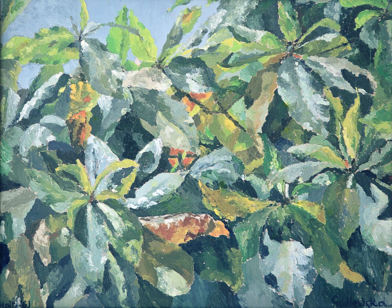 Pflanzen, 1961 von Izabella Godlewska de Aranda