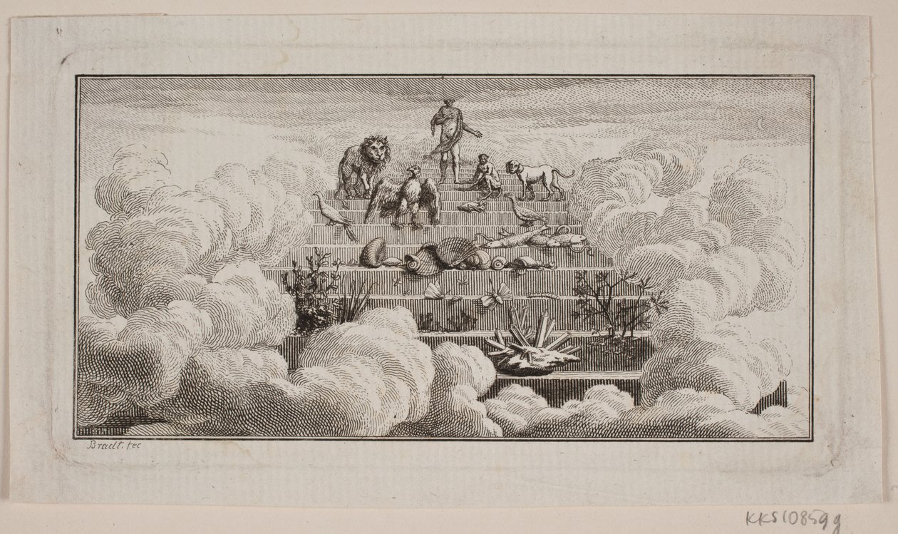 Die höheren und niederen Tiere von J.F. Clemens
