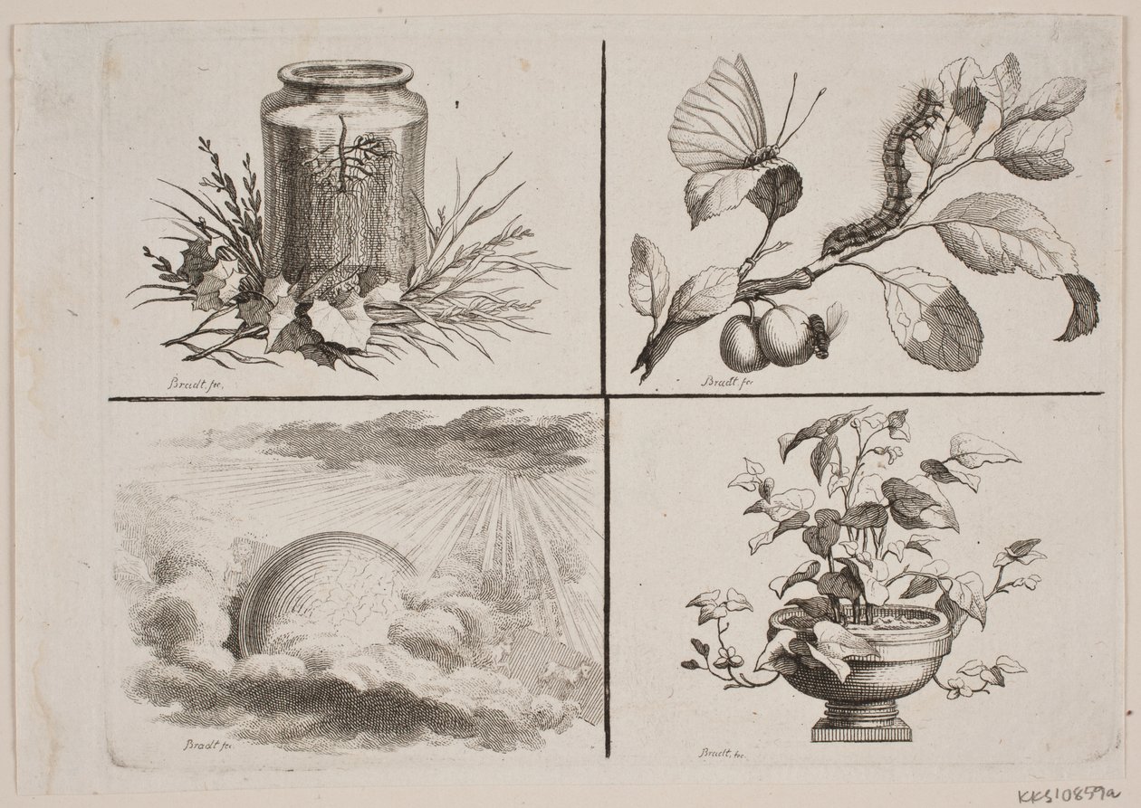 Vignetten zu Bonnets Werken von J.F. Clemens