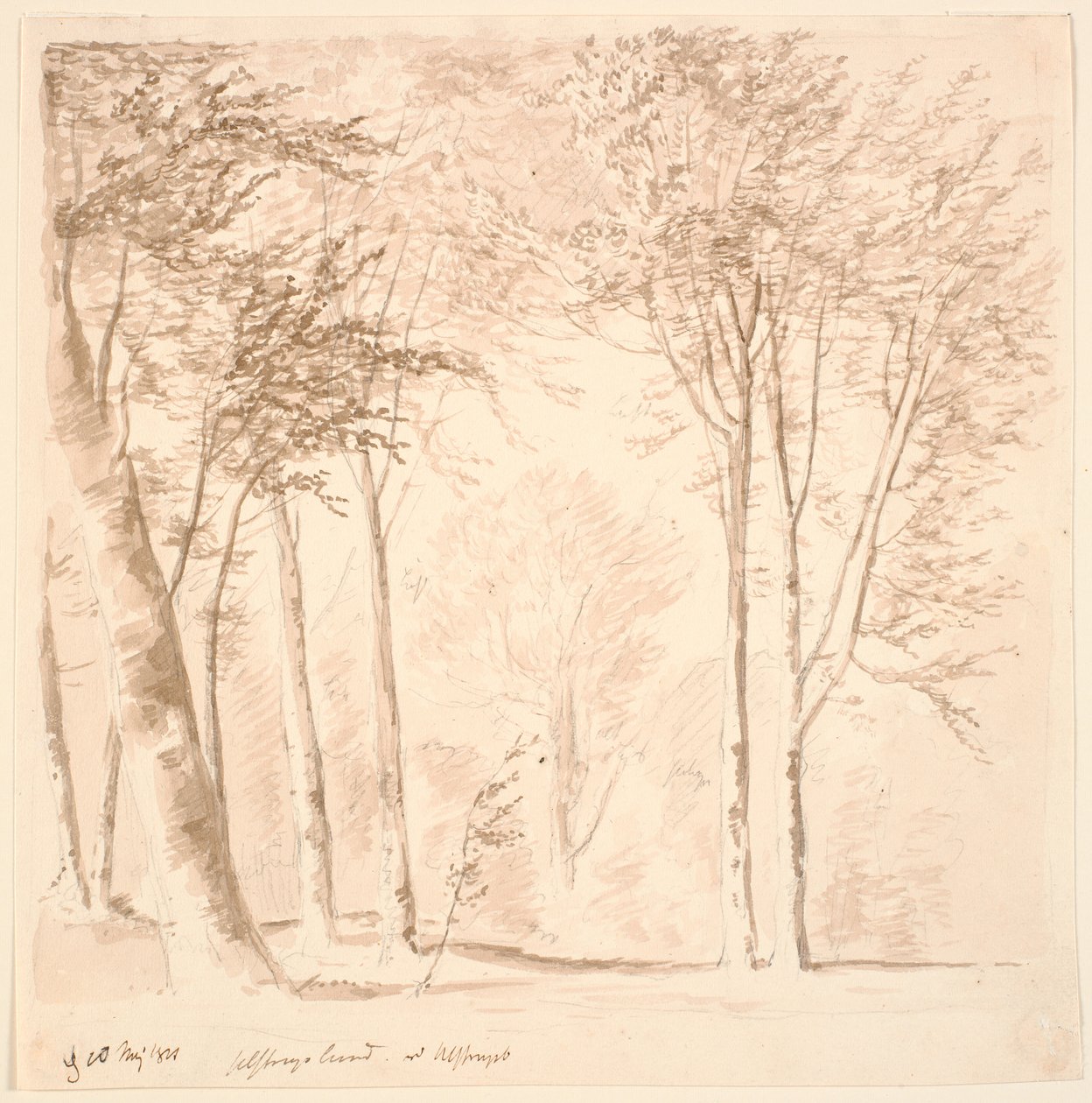 Waldszene von J.P. Møller