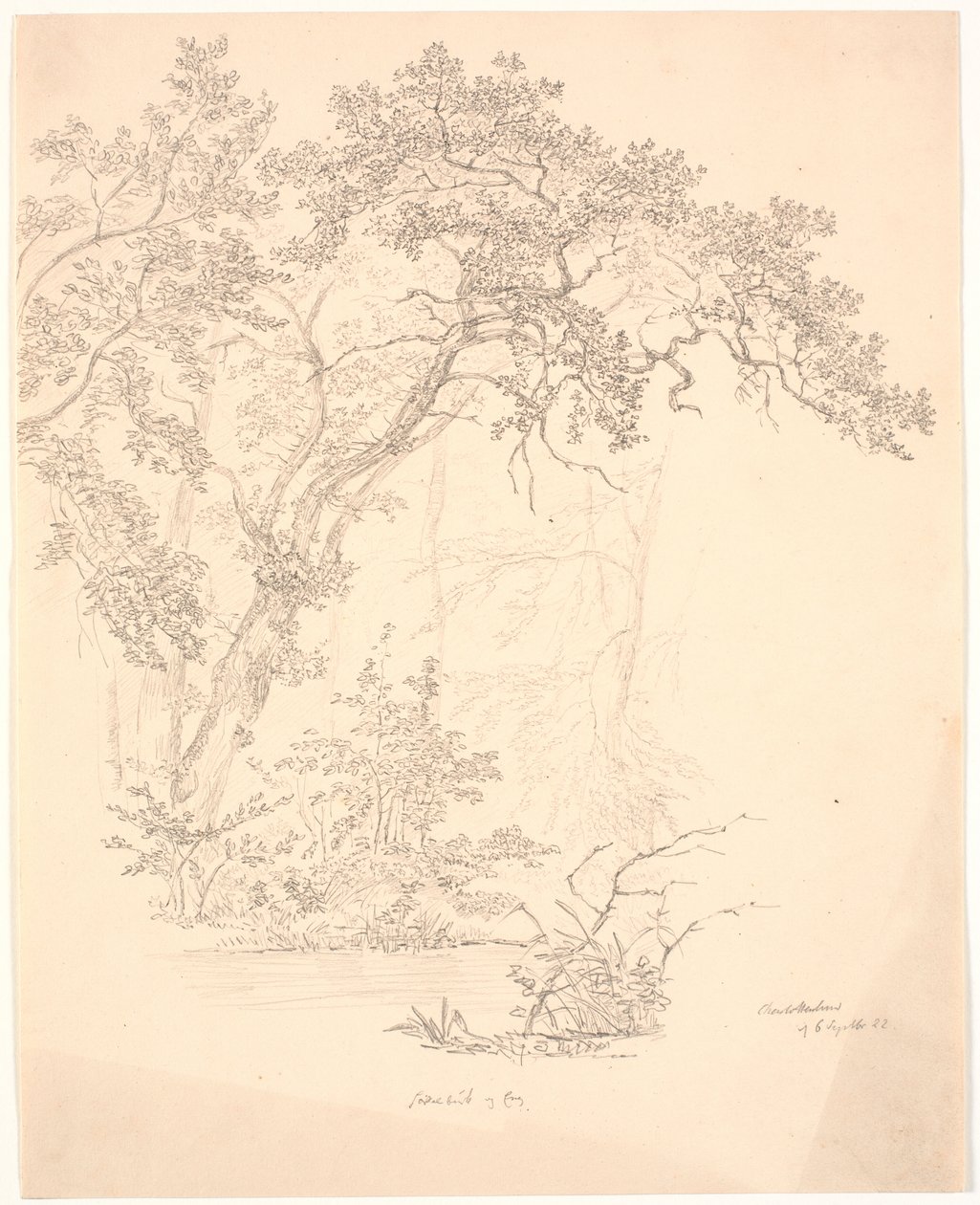 Bäume von J.P. Møller