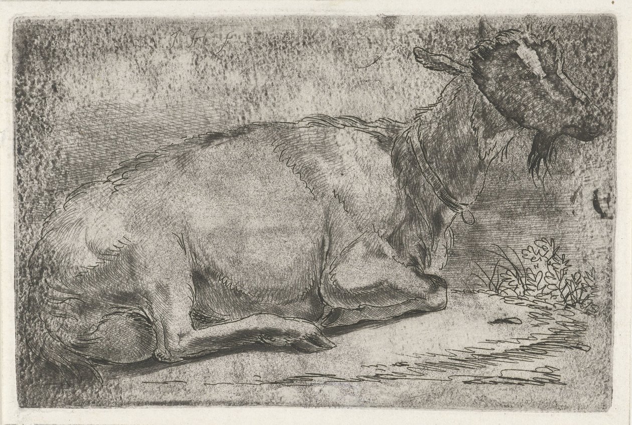 Liegende Ziege von Jabes Heenck