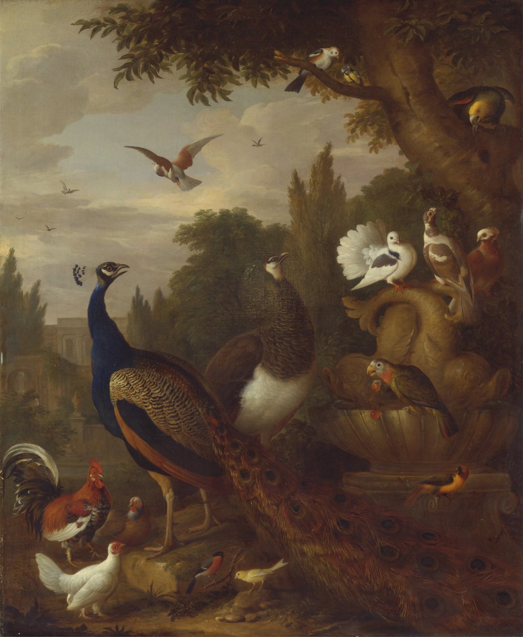 Pfau, Pfauhenne, Papageien, Kanarienvogel und andere Vögel in einem Park von Jacob Bogdani