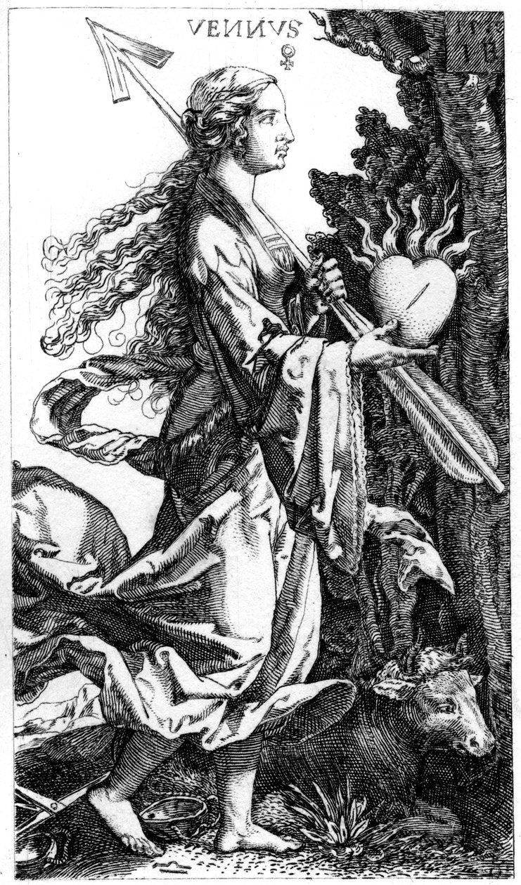 Venus von Jacob Binck