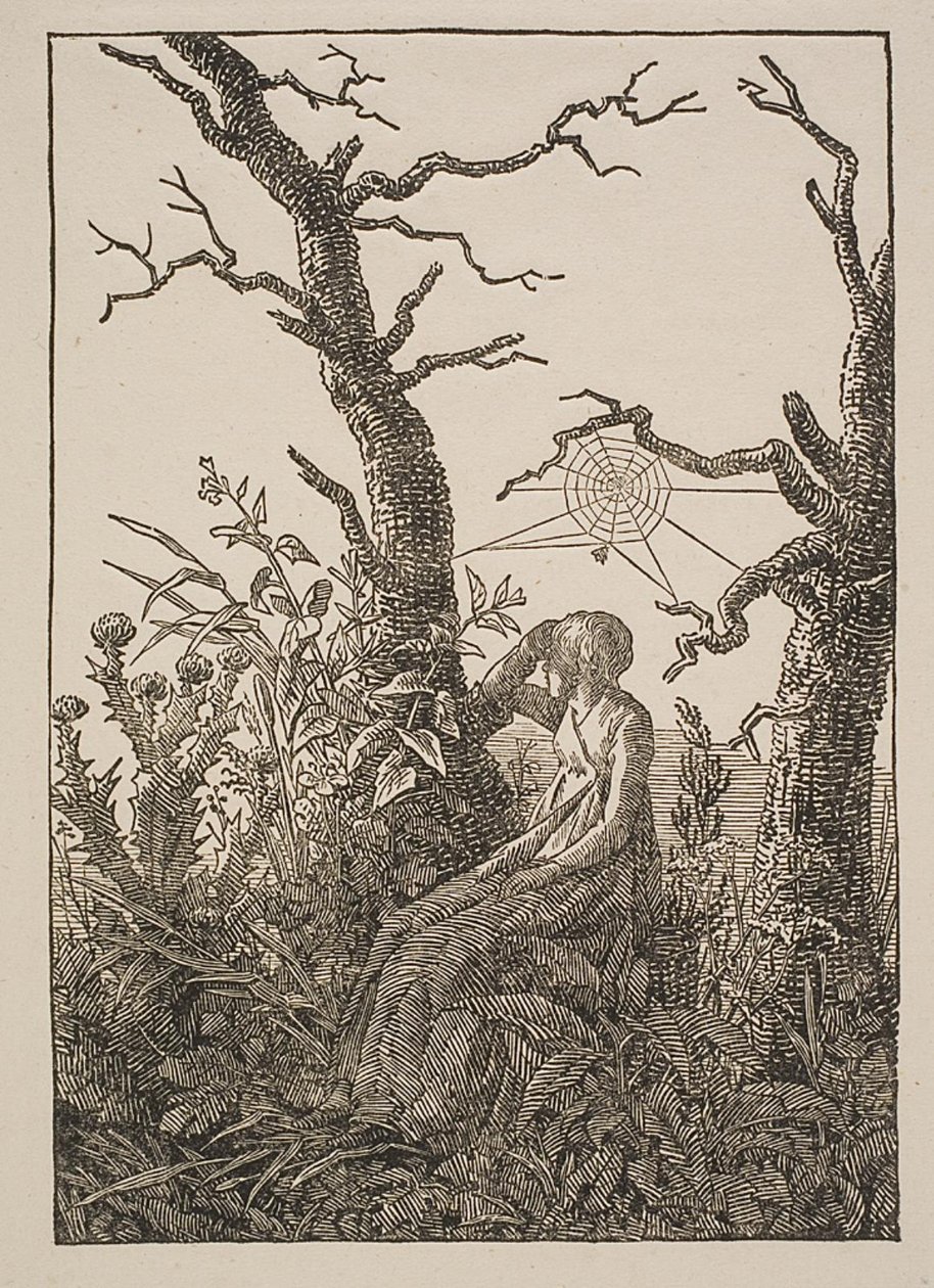Melancholie. Die Frau mit dem Spinnennetz von Jacob Friedrich