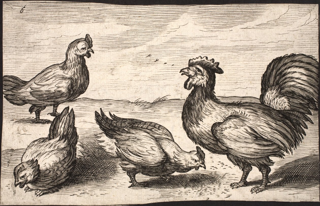 Ein Hahn mit drei Hennen von Jacob Matham
