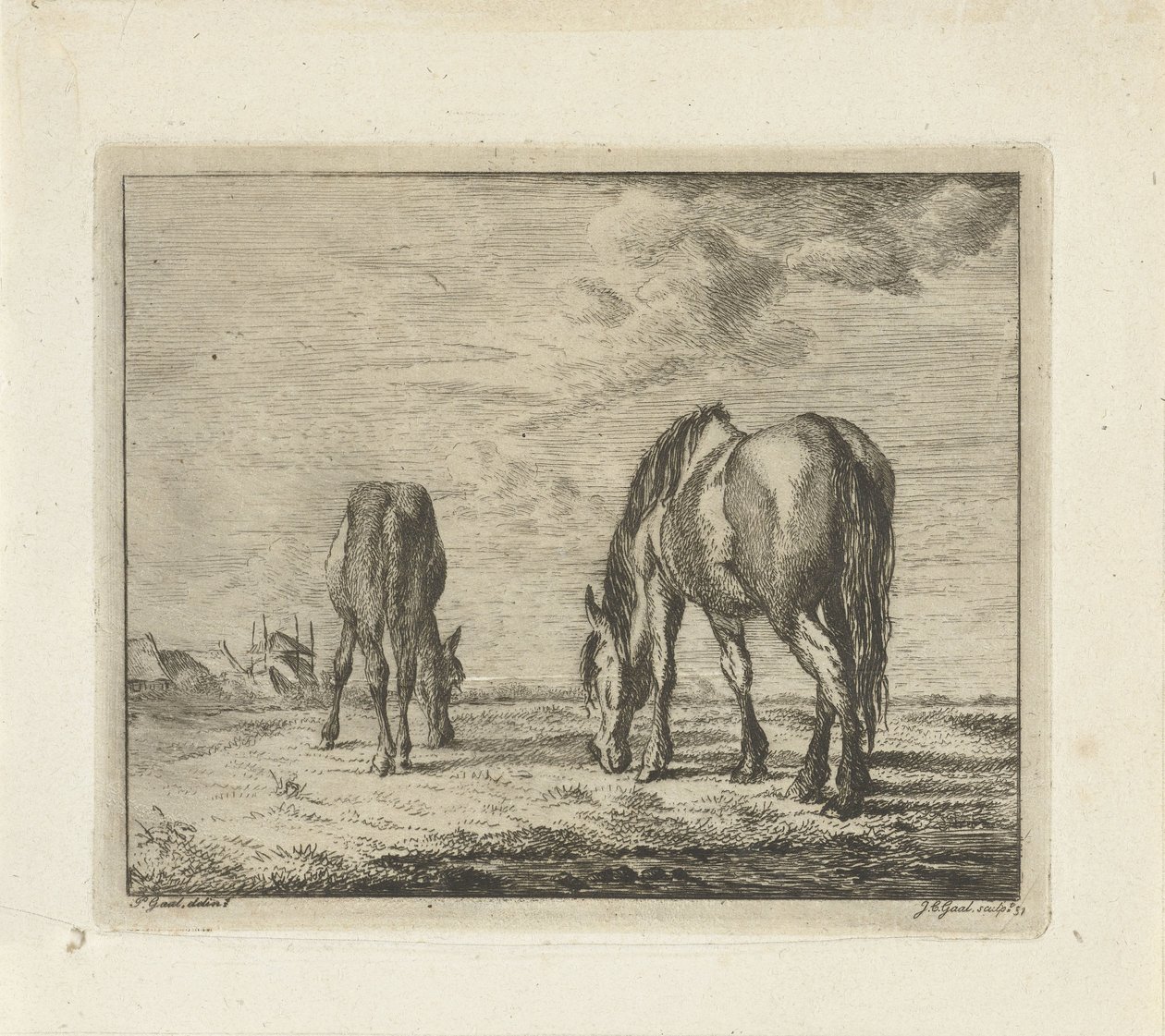 Zwei grasende Pferde von Jacobus Cornelis Gaal