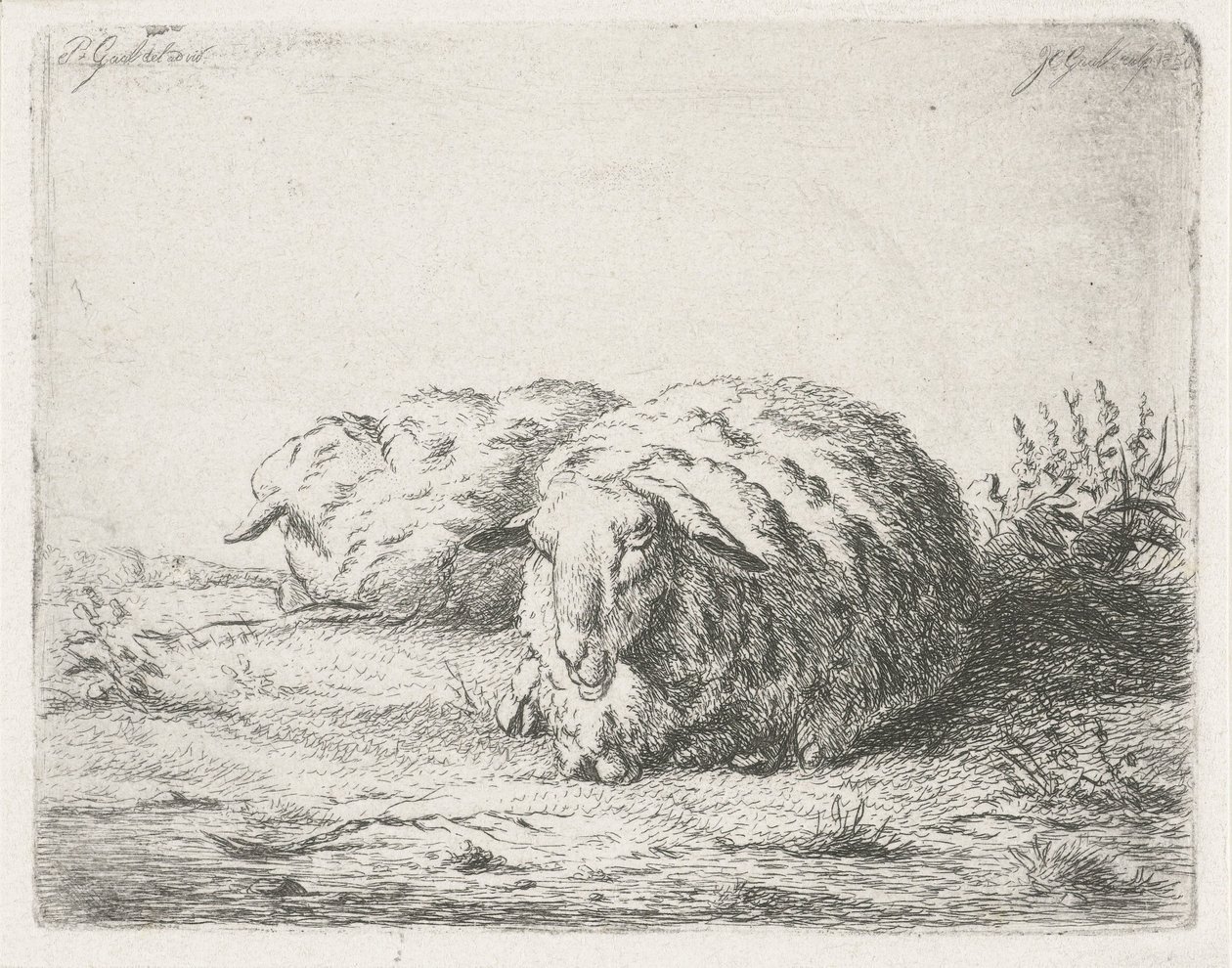 Zwei liegende Schafe von Jacobus Cornelis Gaal