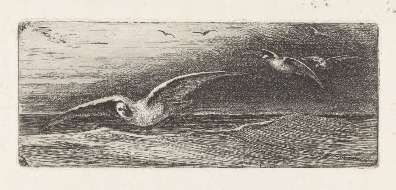 Möwen von Jacobus Hermanus Otterbeek