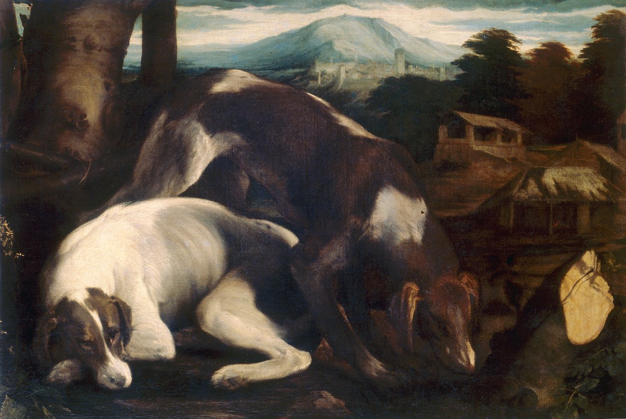 Zwei Hunde von Jacopo Bassano