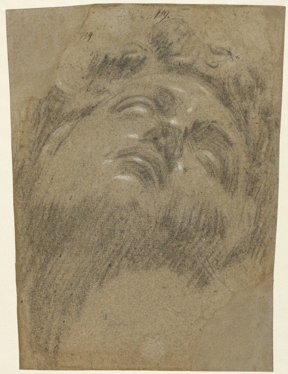 Kopf von Giuliano dei Medici von Jacopo Tintoretto