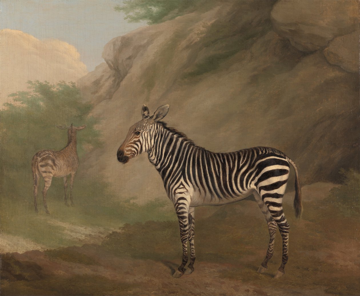 Zebra von Jacques Laurent Agasse