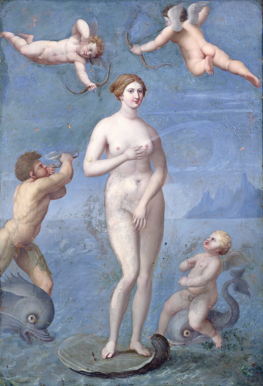 Venus, 1640 von Jacques Stella