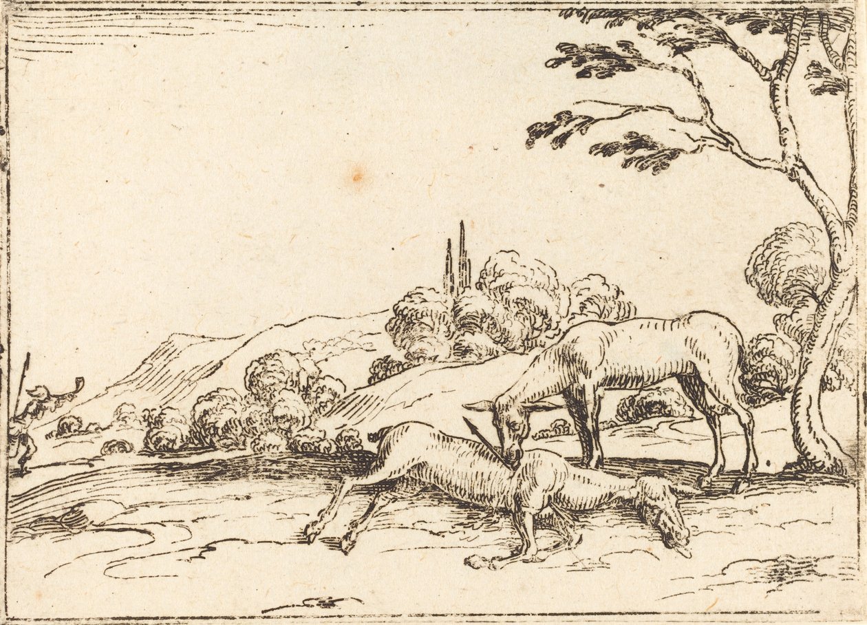 Hirschkuh trauert um ihr Fohlen von Jacques Callot