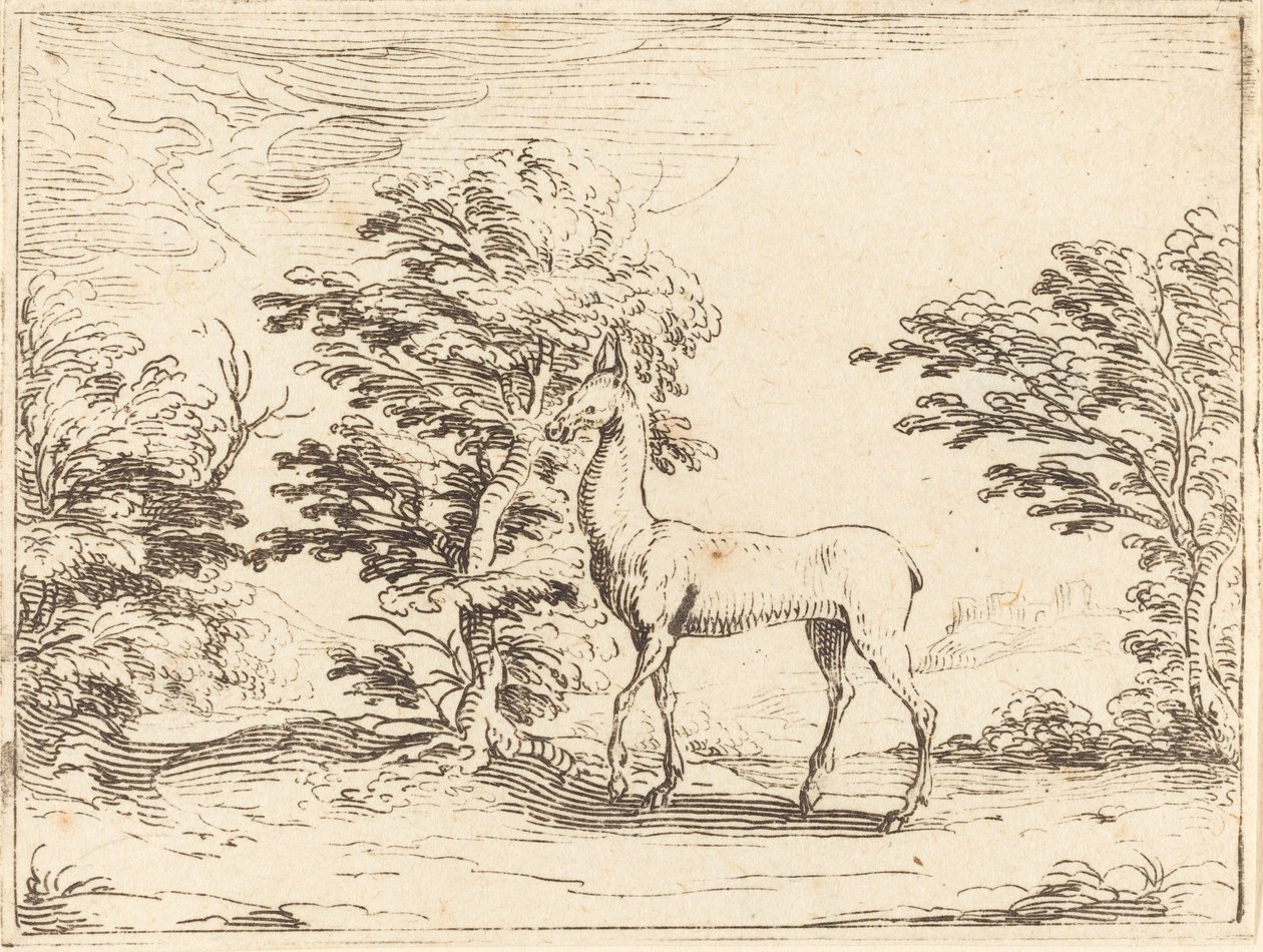 Die Hirschkuh von Jacques Callot