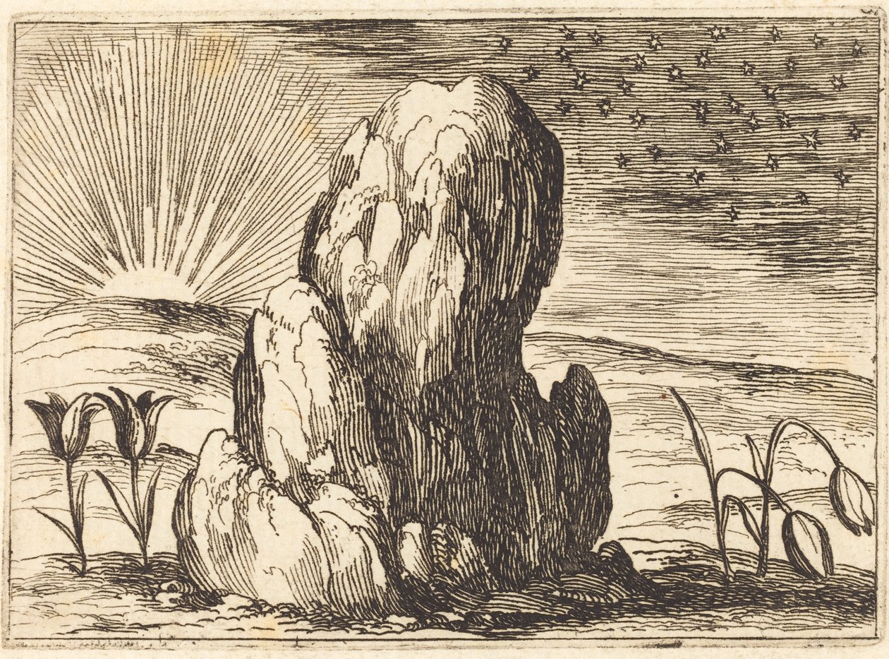 Die Tulpen und die Sonne von Jacques Callot
