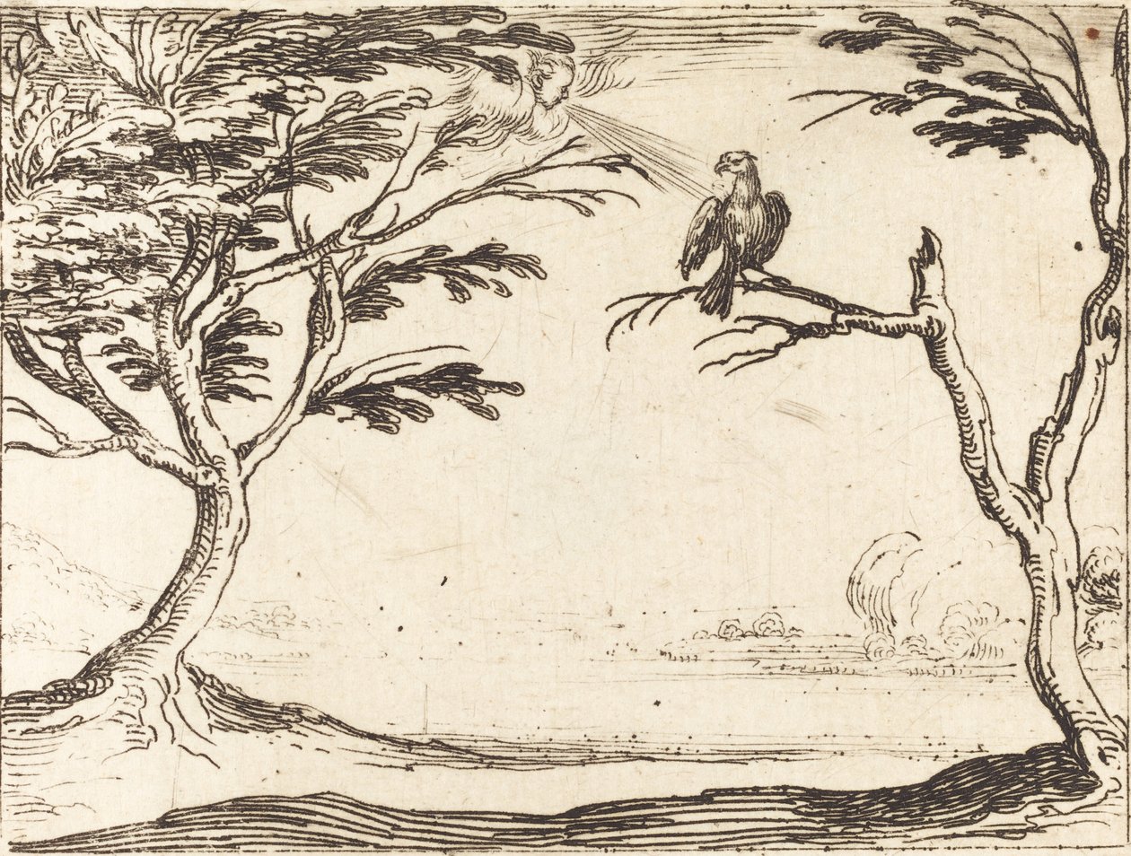 Der Geier von Jacques Callot