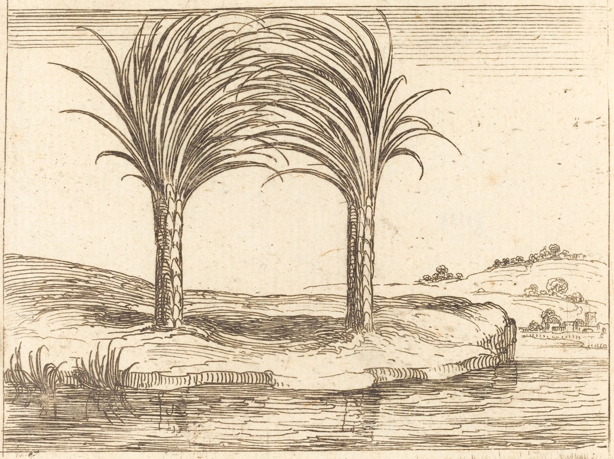 Zwei Palmen von Jacques Callot