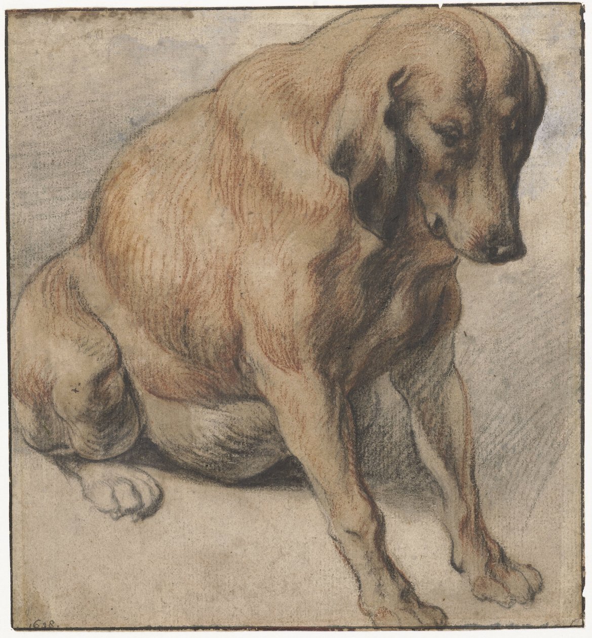Sitzender Hund von Jacques Jordaens