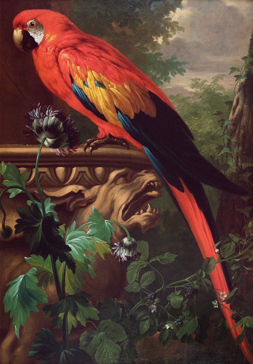 Roter Ara in einer Landschaft von Jakob Bogdani or Bogdany
