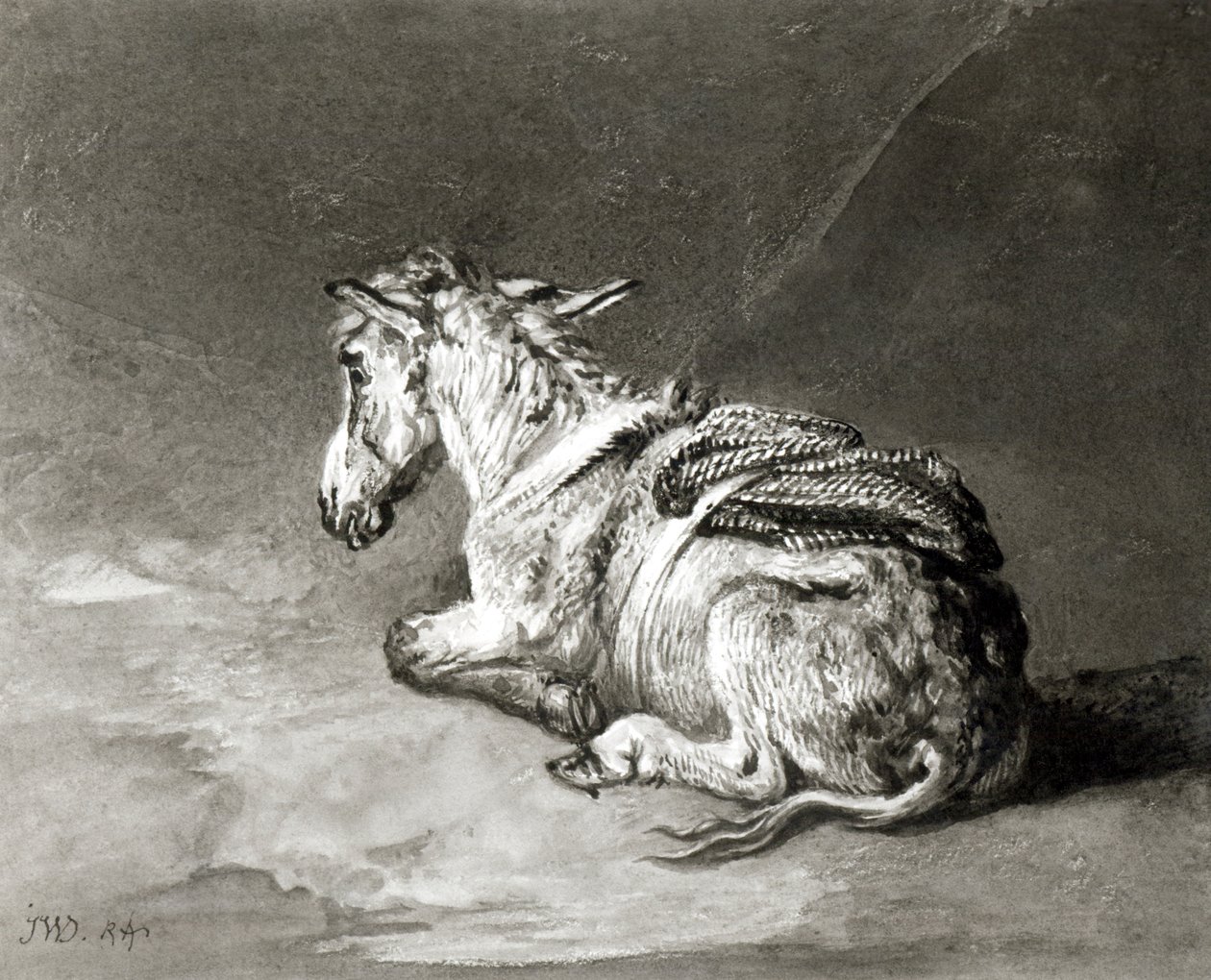 Esel in Ruhe von James Ward