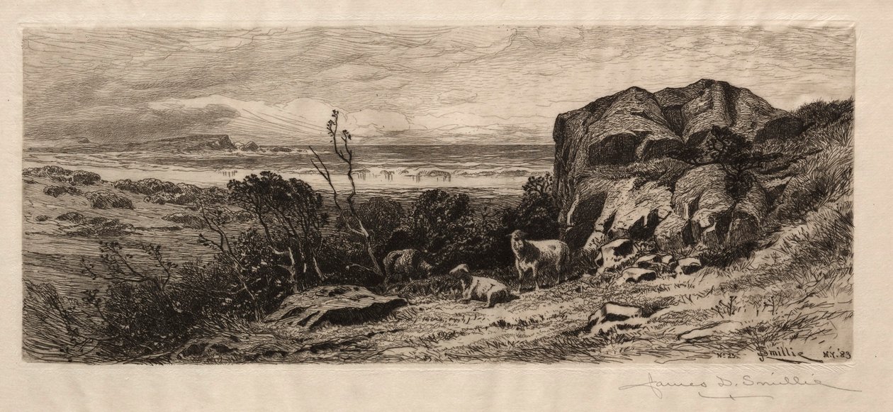 Am Marblehead Neck, 1883 von James David Smillie