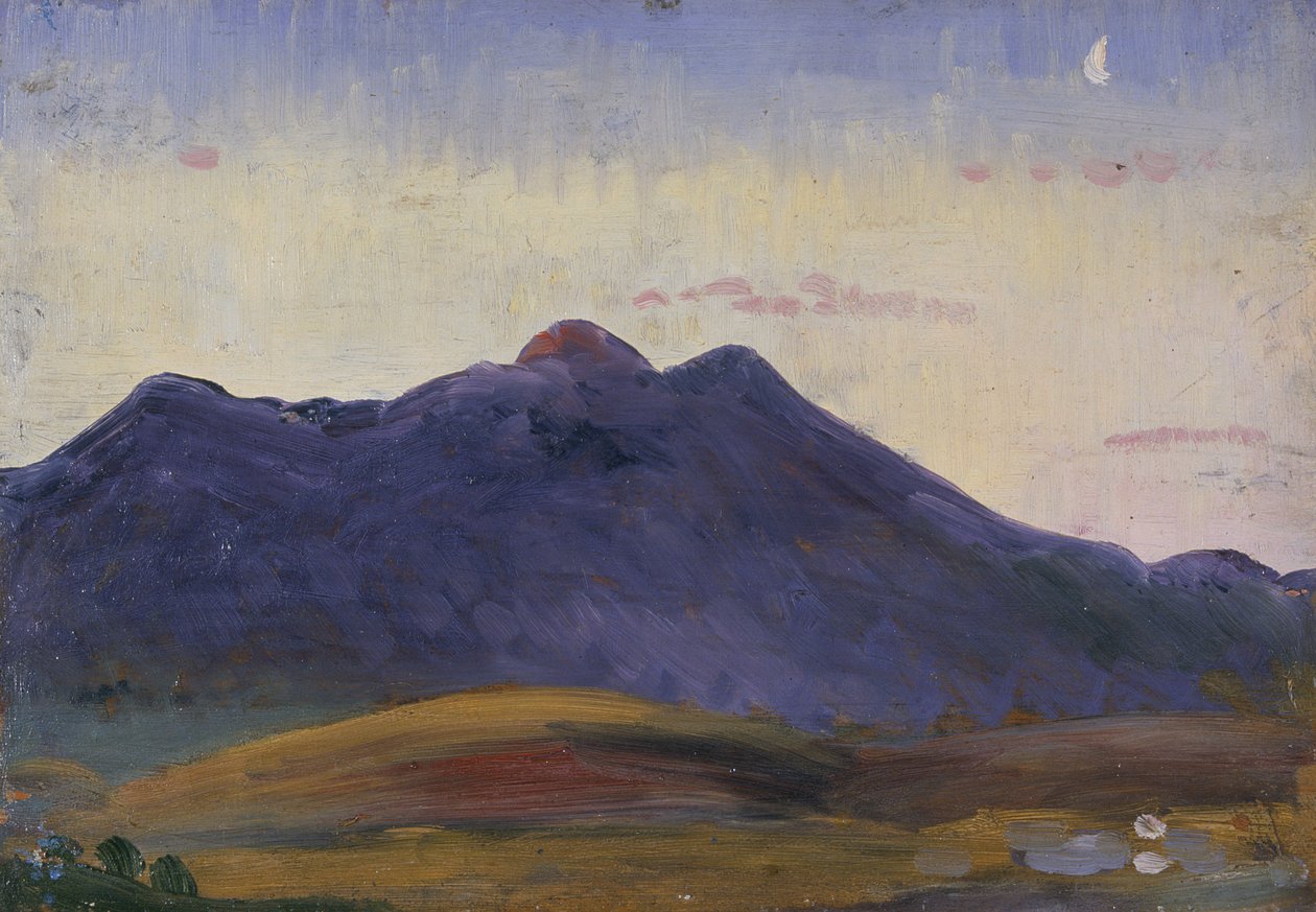 Arenig von James Dickson Innes